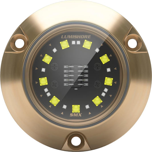 Lumishore ORA SMX24 Dual Color Underwater Light